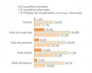 cuadro comparativo